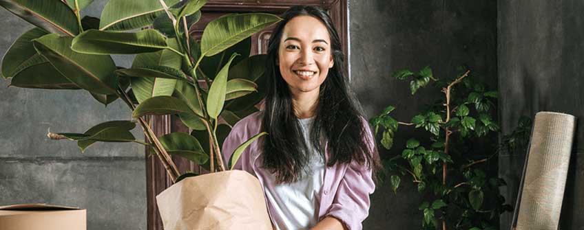transportar plantas mudança